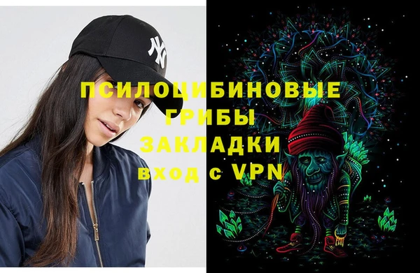 прущие грибы Волоколамск